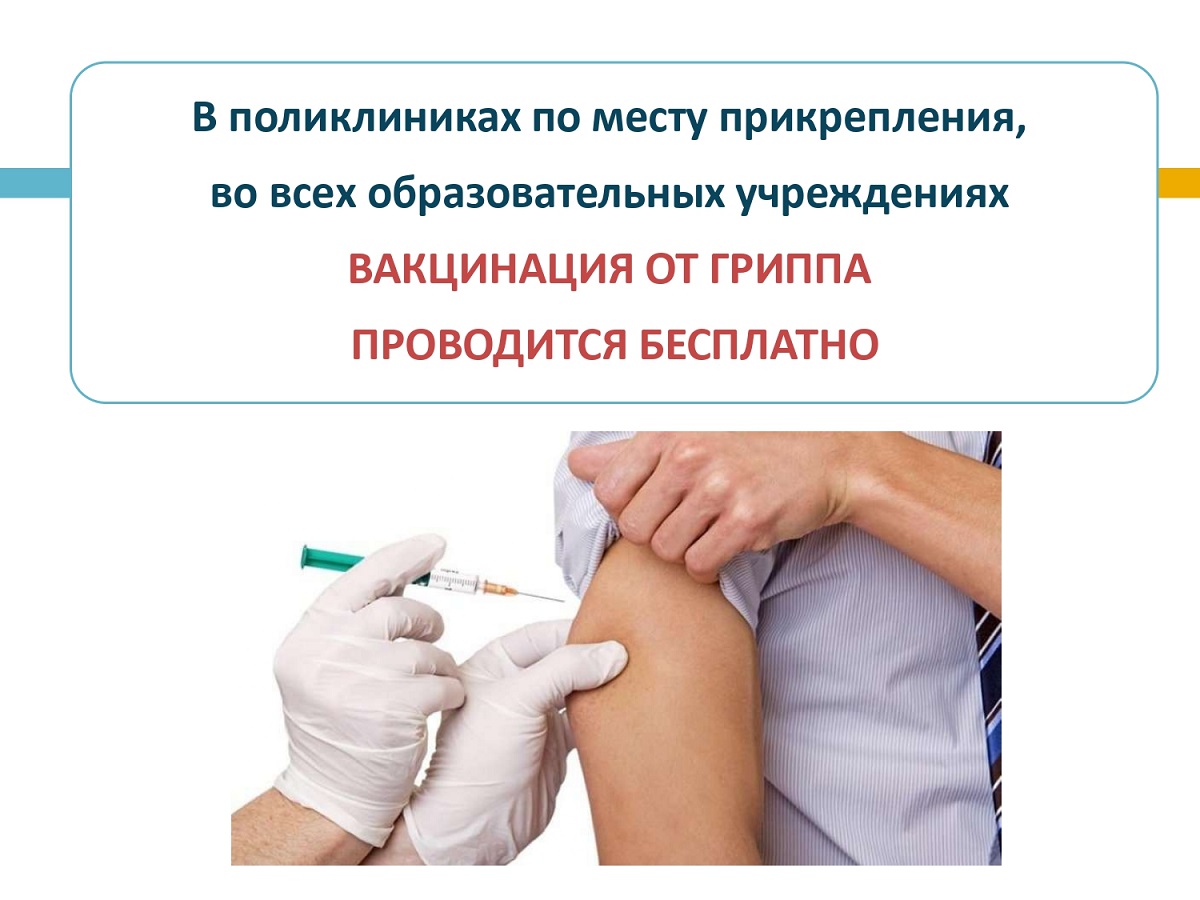 Prezentacia_Profilaktika_Grippa_2020_page-0016